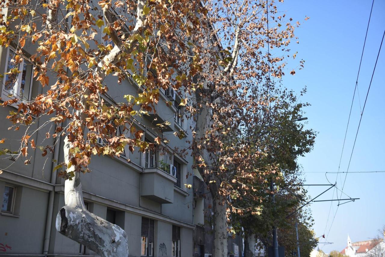 Friendly Home Apartment Belgrád Kültér fotó